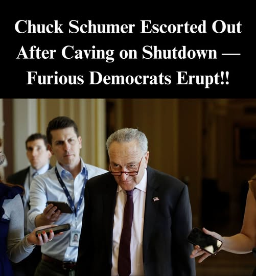 Schumer Faces Democratic Fury After