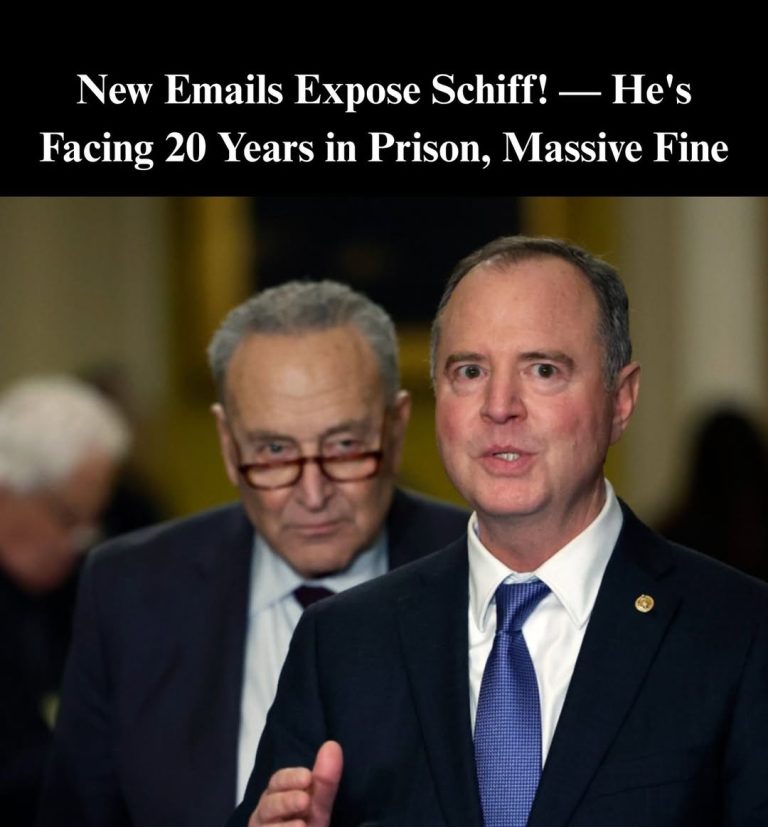 Schiff Could Face Fines, Prison Time