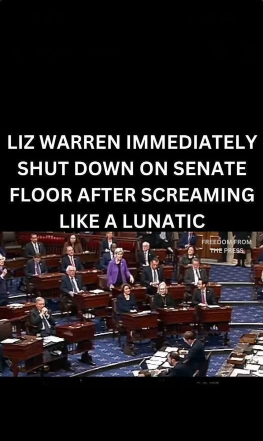 Dem Sen. Warren Makes Big Announcement