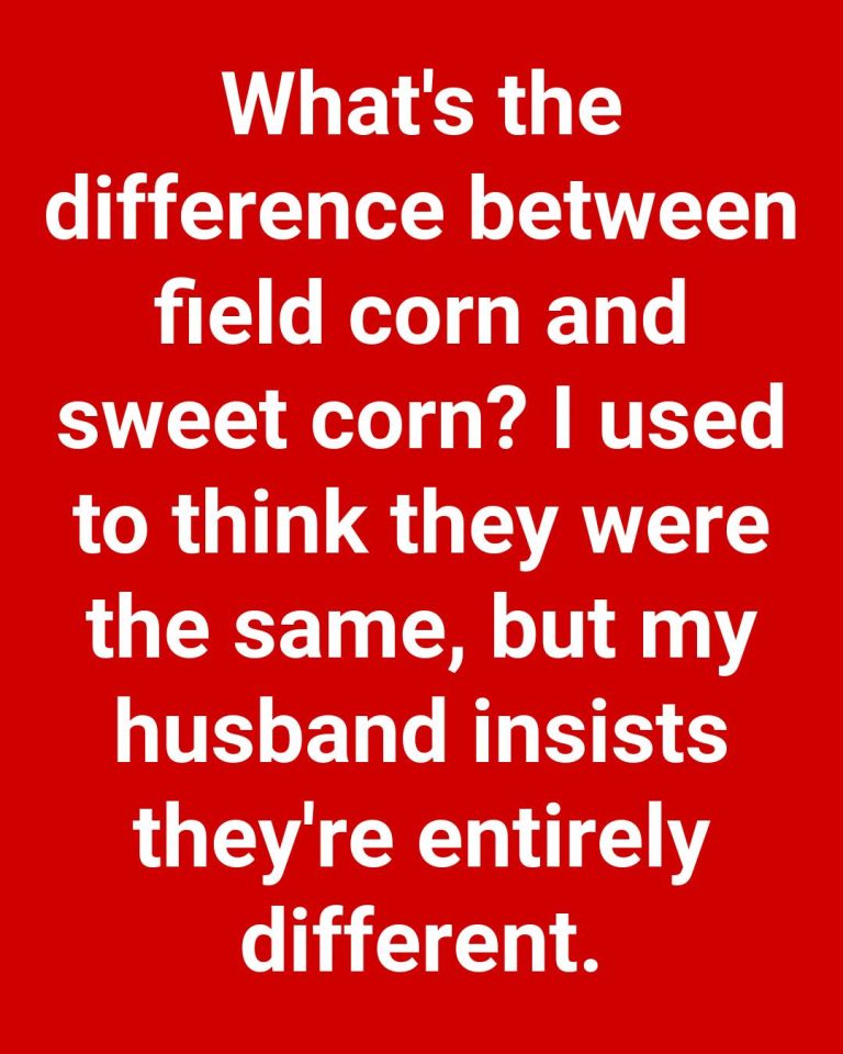 Difference Between Field Corn
