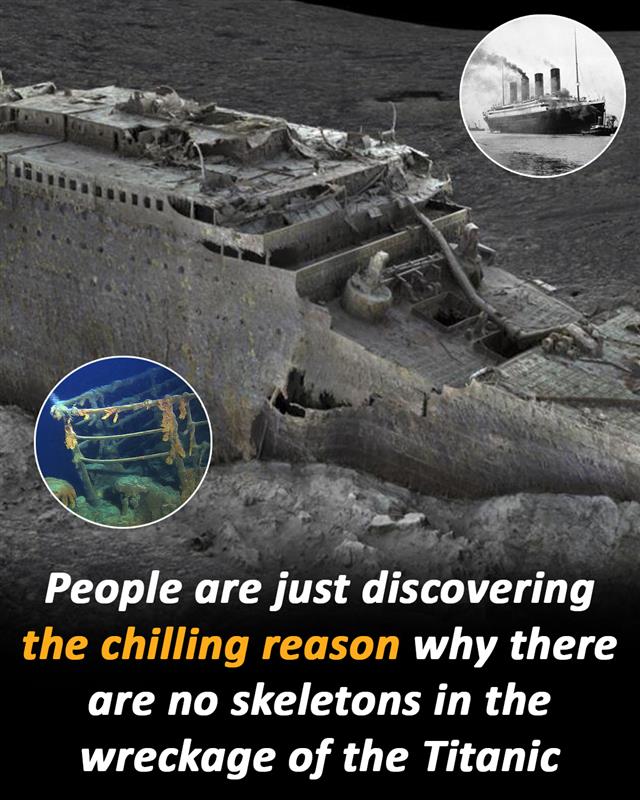 The mysterious absence of bodies