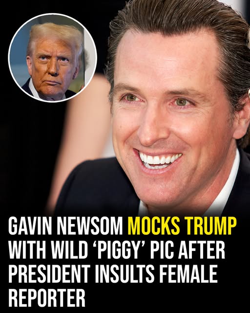 Gavin Newsom mocks Trump with wild ‘piggy’ pic after president