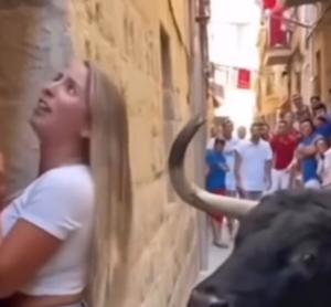 “Tourist Faces Bull — What Happens Next Will
