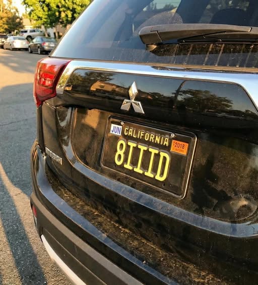 When a Nevada License Plate Went Viral