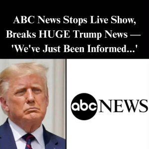 ABC Anchor Admits Truth As Trump’s