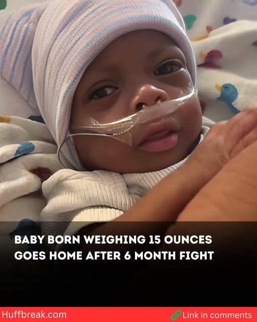 Baby born weighing 15 ounces goes home