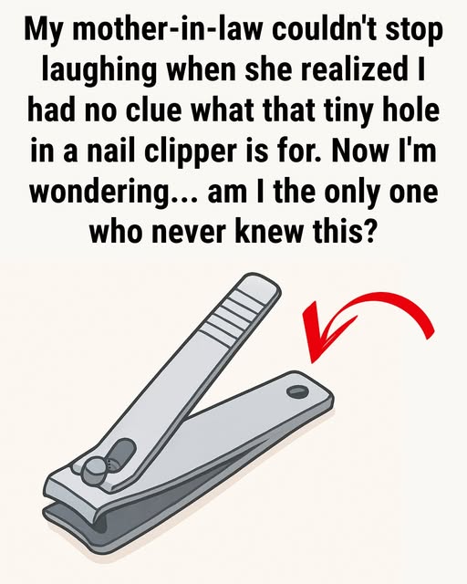 Why Does Your Nail Clipper Have
