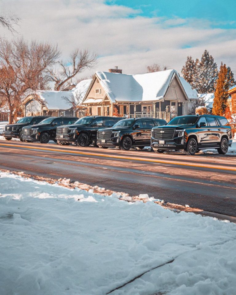 My Stepmother Kicked Me Out Two Days