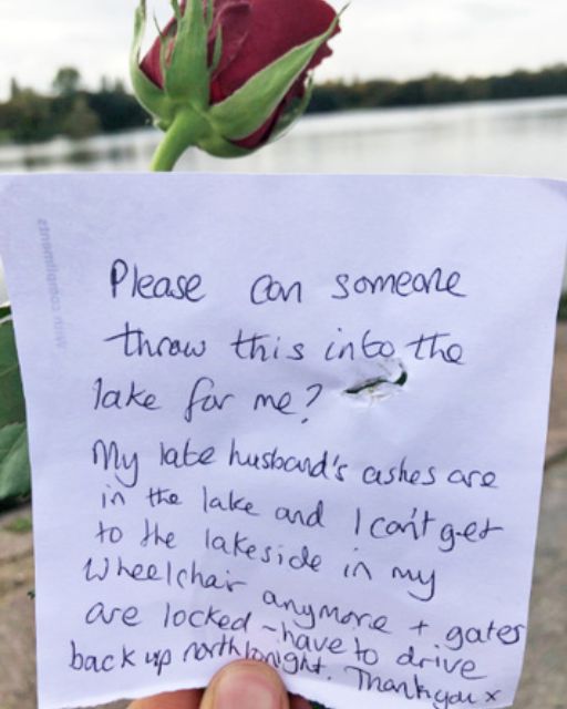 I Found a Note on a Rose