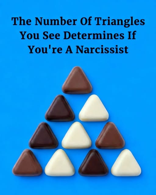 Why a Simple Triangle Puzzle Reveals More