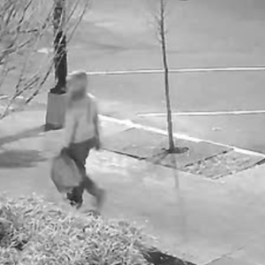 Suspect Arrested in 2021 Washington,