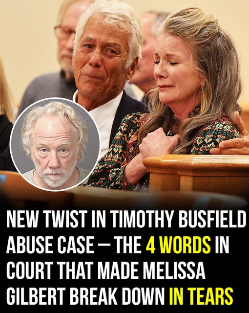 Melissa Gilbert breaks down in court