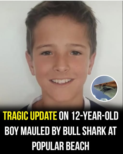 Tragic update on 12-year-old boy mauled
