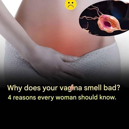 Why Vaginal Odor Happens More Often