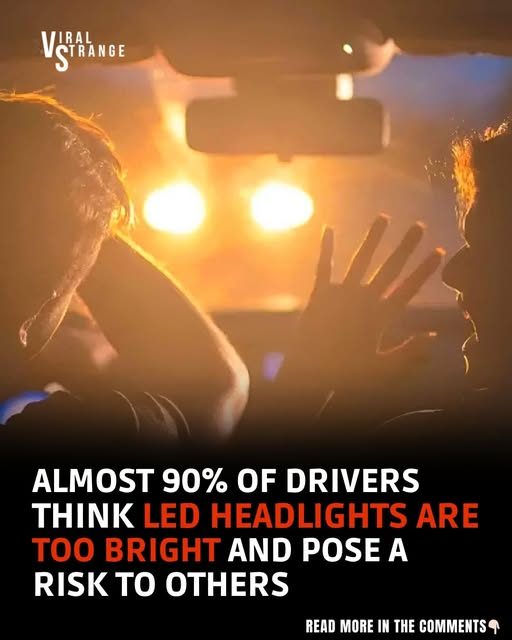 Blinded by the Light? 90% of Drivers Say