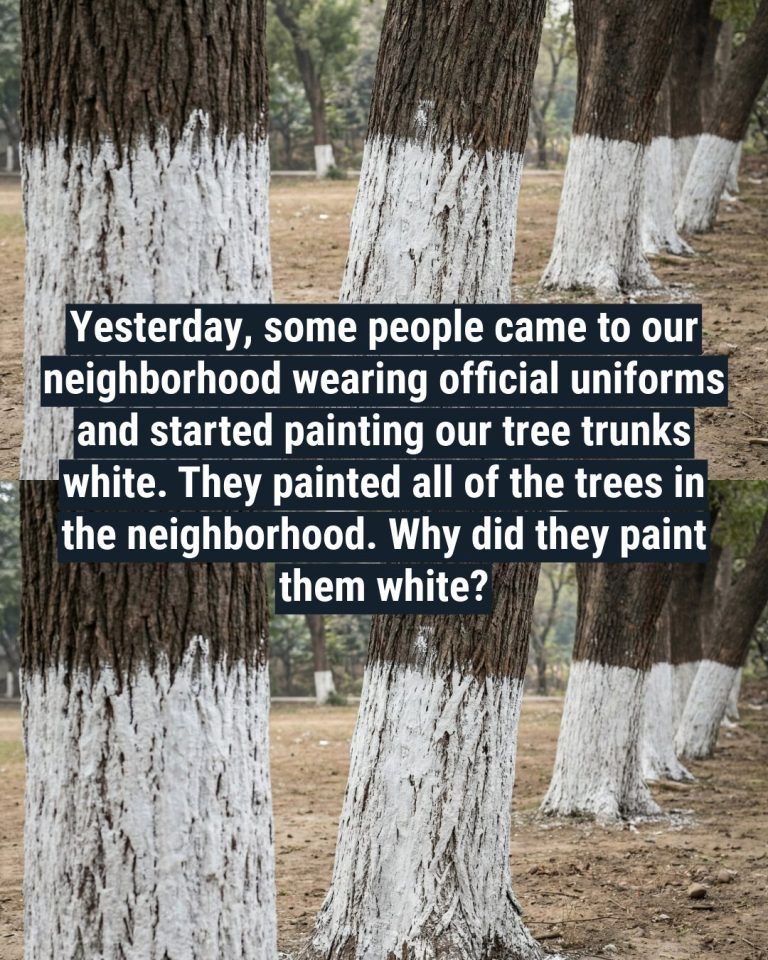 Why Are Some Trees Painted White?