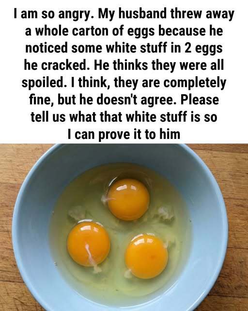 What Exactly Is the White Part of an Egg,