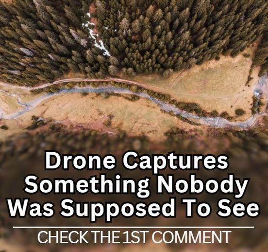 Drone Captures Something Nobody Was