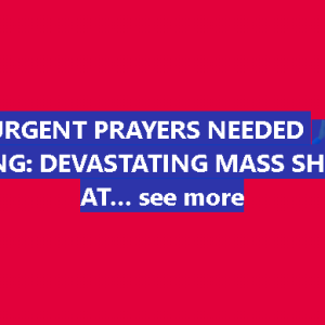 Breaking news reports indicate that a mass