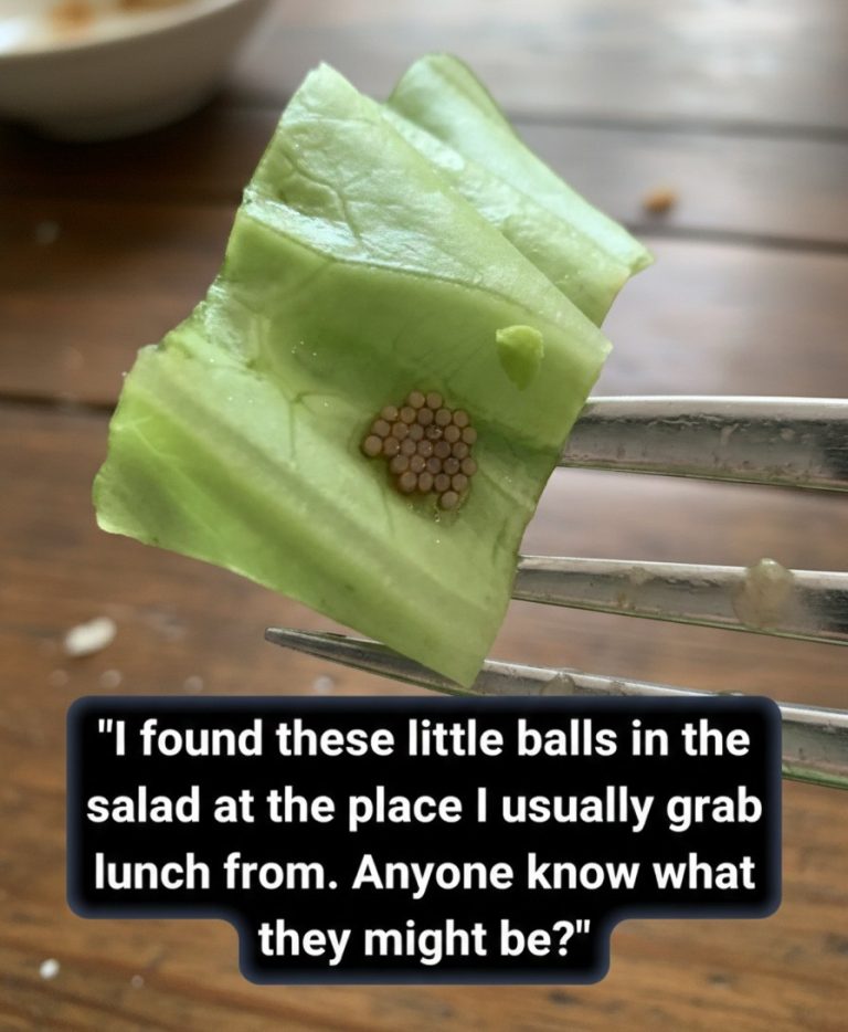 What She Thought Was Quinoa Turned Out