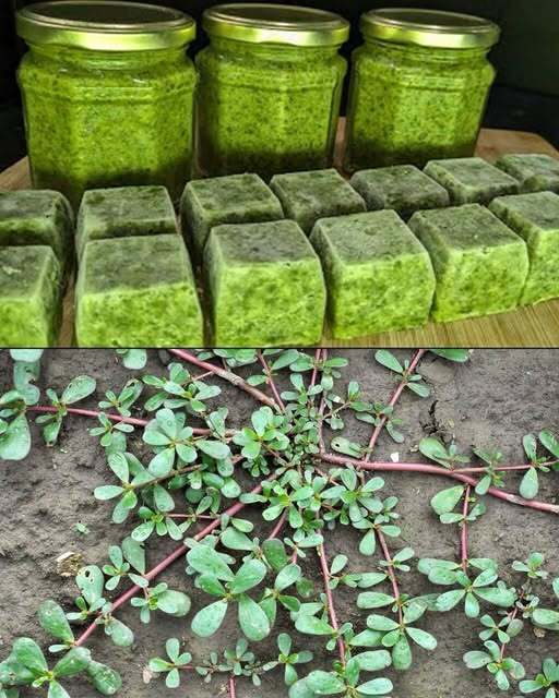 What Happens to Your Body When Yo