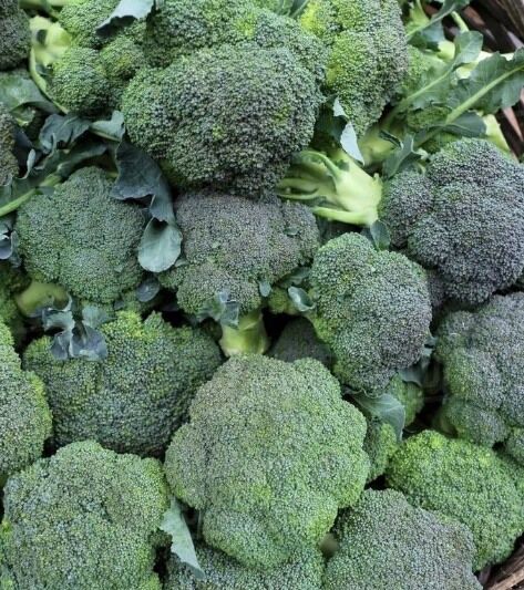 Doctors reveal that eating broccoli