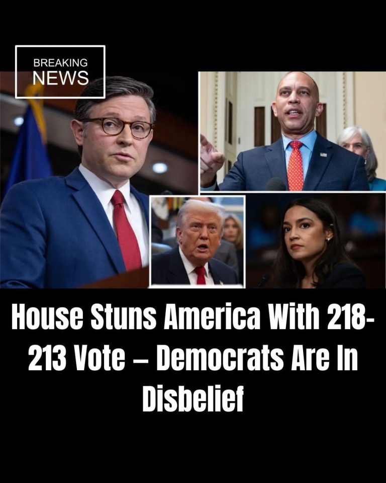 Nearly All Dems Oppose SAVE Act De