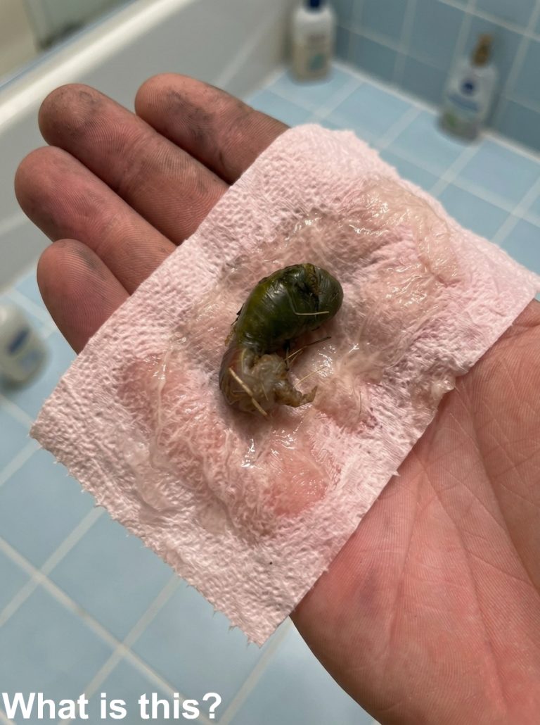 We found this in our bathroom. When