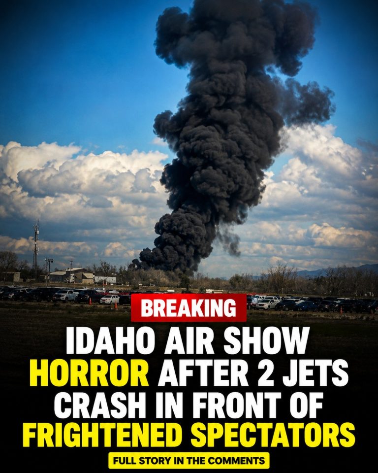 Idaho air show horror after 2 jets cra