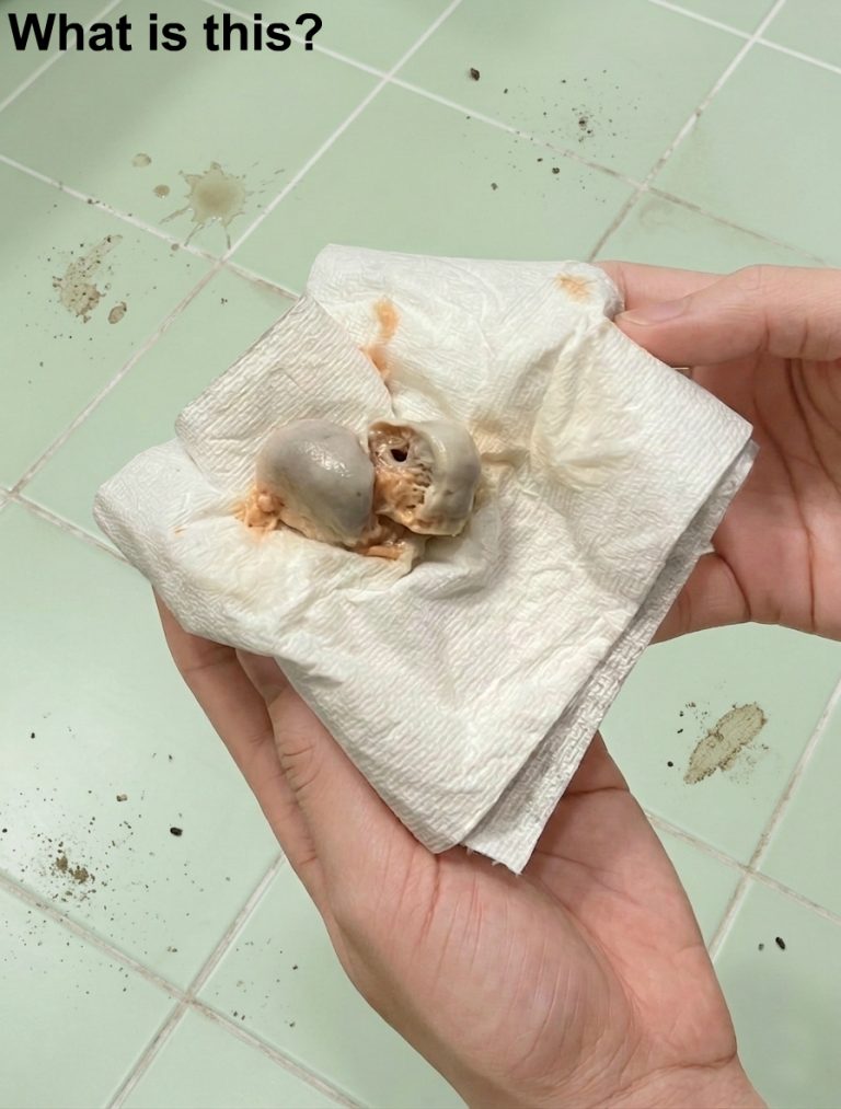 My wife and I found this on