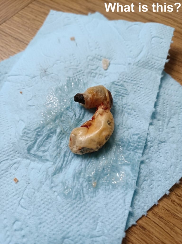 I found this in my son’s room while