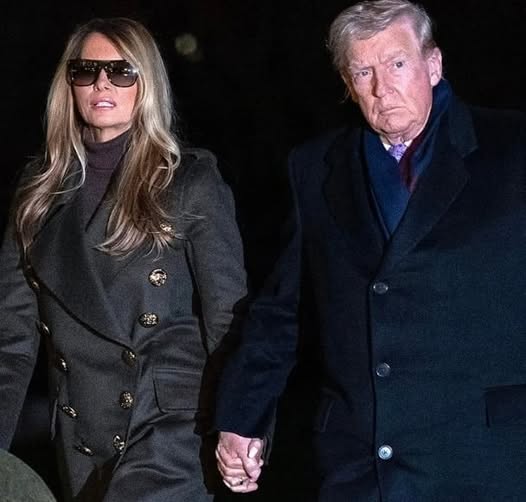 Donald Trump and the Jan. 6 Investigati