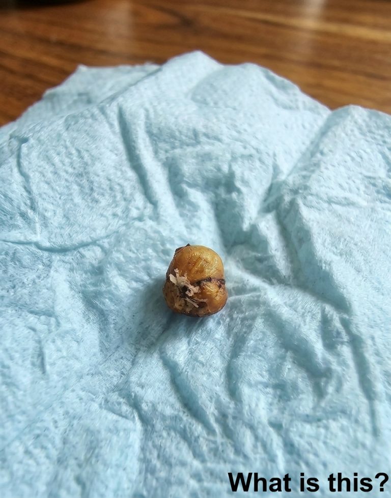 My girlfriend was washing her hair when t