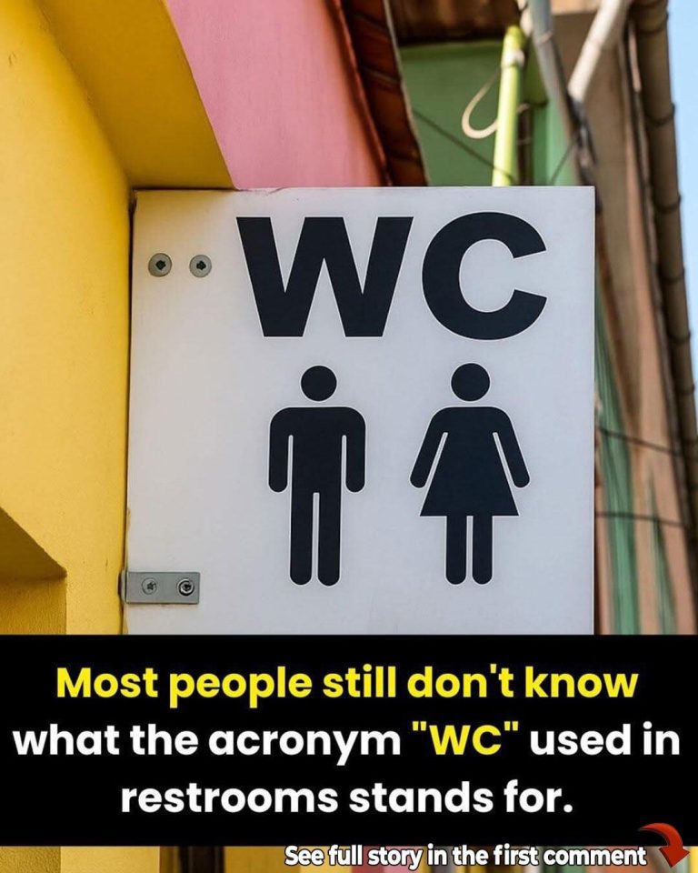 Why You Still See “WC” on Was