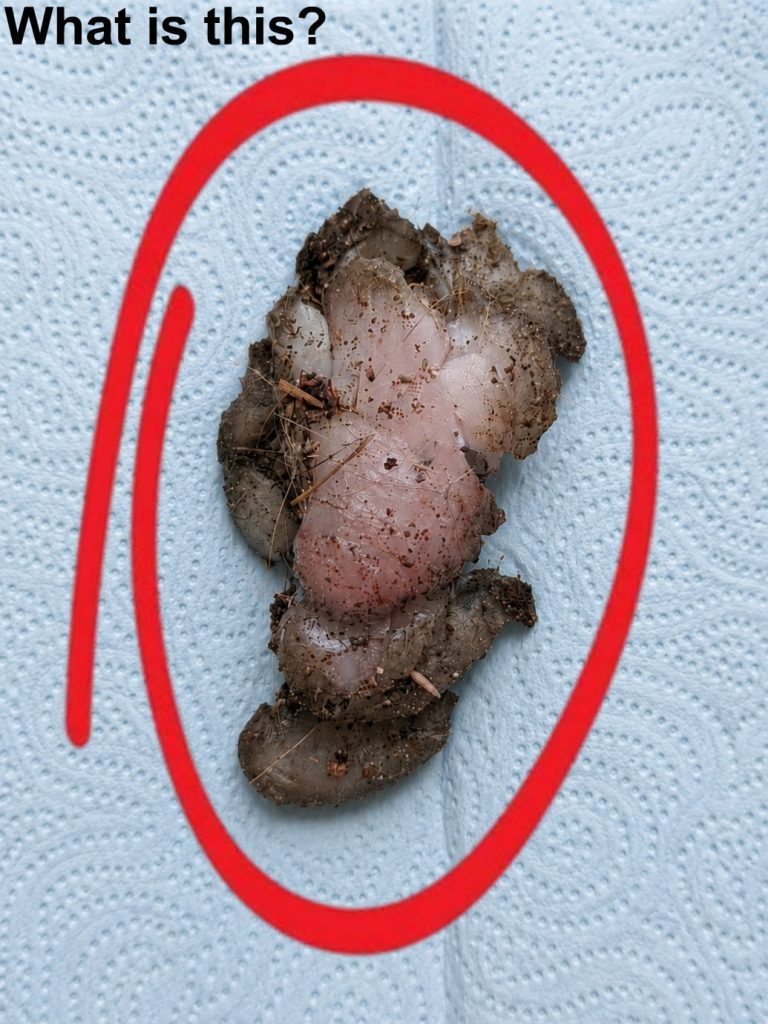 I found this in my girlfriend’s room, under the wa