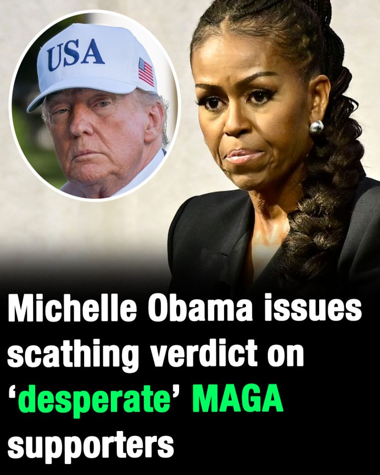 Michelle Obama issues scathing verdic