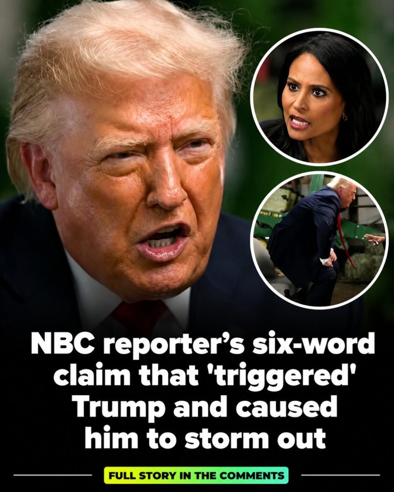 NBC reporter’s seven-word claim that ‘t
