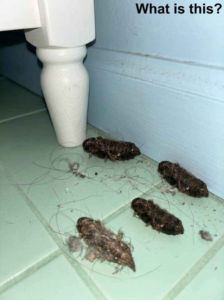 This evening, I came home tired and just wanted