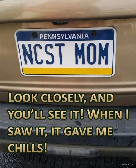 This Clever License Plate Has Everyone T