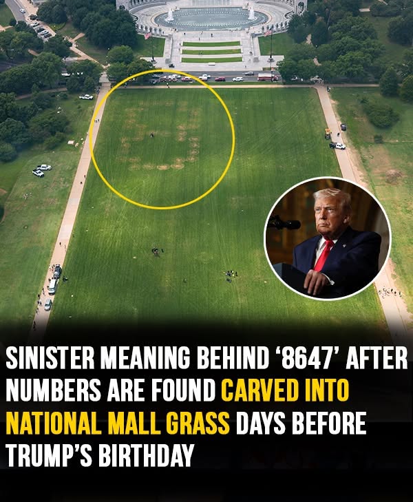 Sinister meaning behind ‘8647’ message after