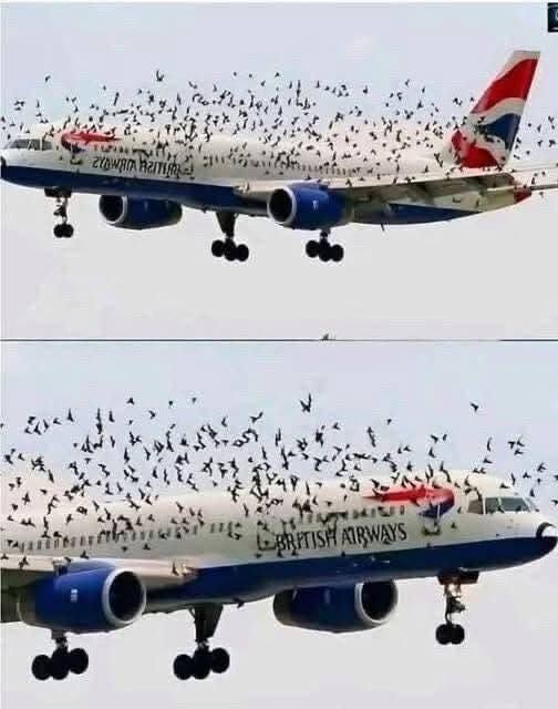 The Mind Blowing Reason This Terrified Pilot Burst
