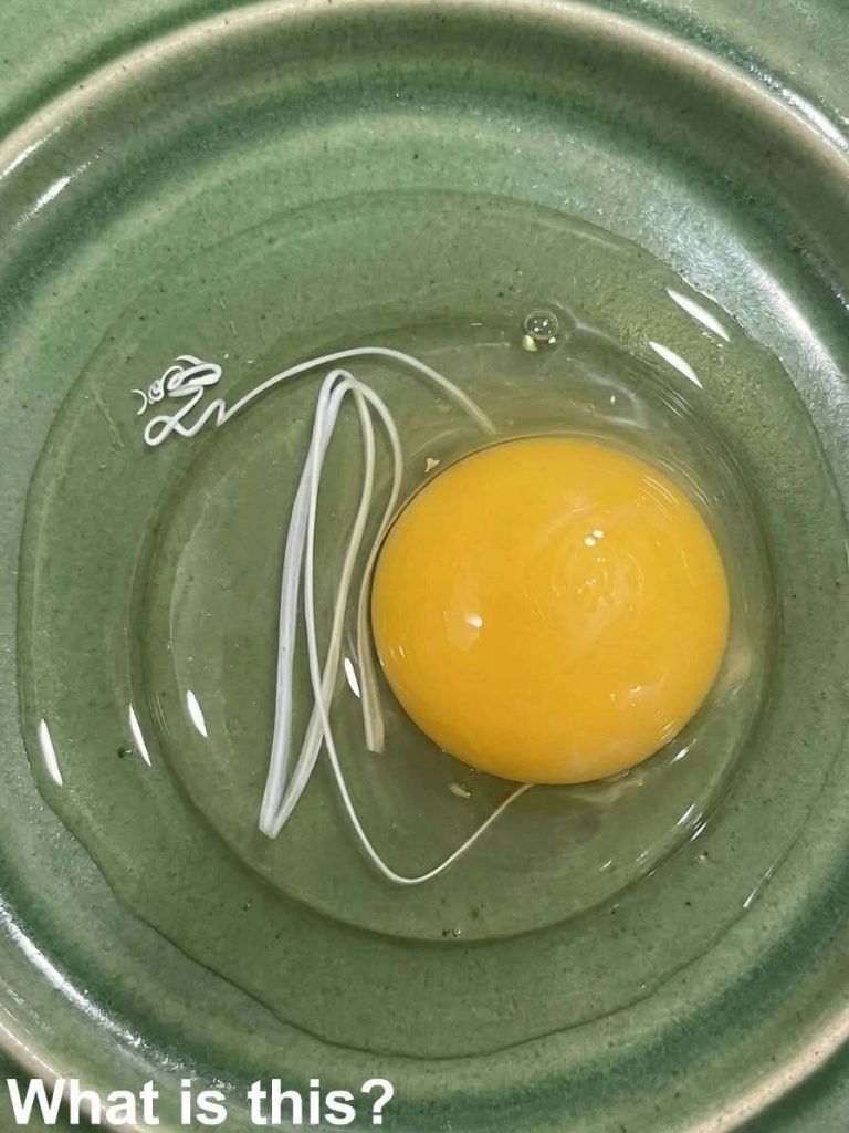 This morning, I woke up and decided