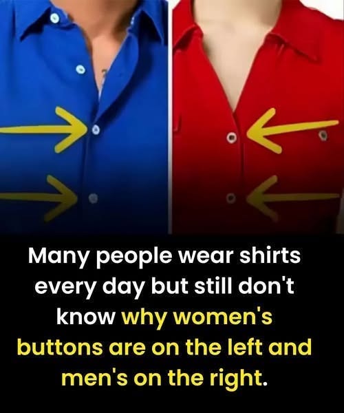 The Real Reason Women’s Shirts Button
