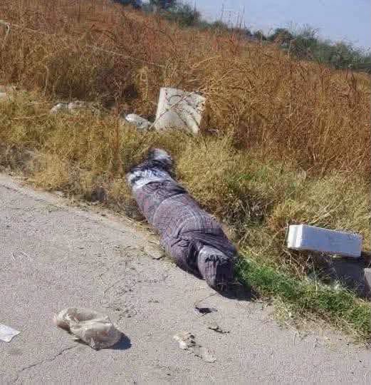 They Just Found A Person Wrapped In S