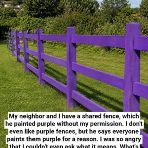 If You Spot a Painted Purple Fence, This