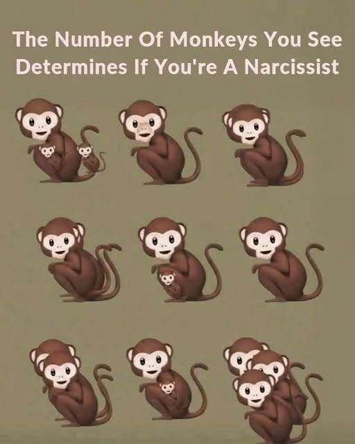 The Number Of Monkeys You See Determines If You’re